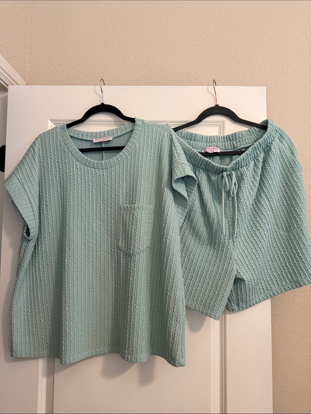 Discount Divas Mint Green Textured Short Sleeve Top & Shorts Set- butter soft!